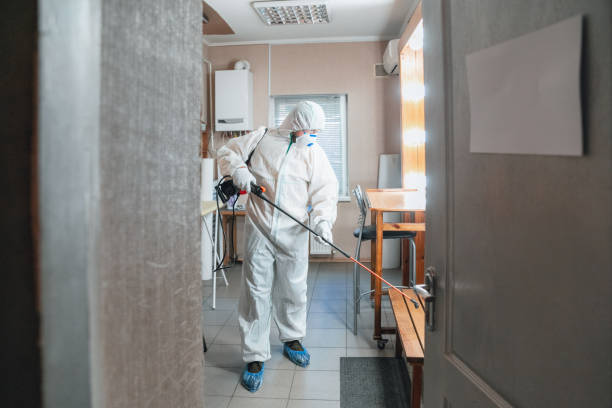 Best Mold Removal for HVAC Installations  in Chisago City, MN