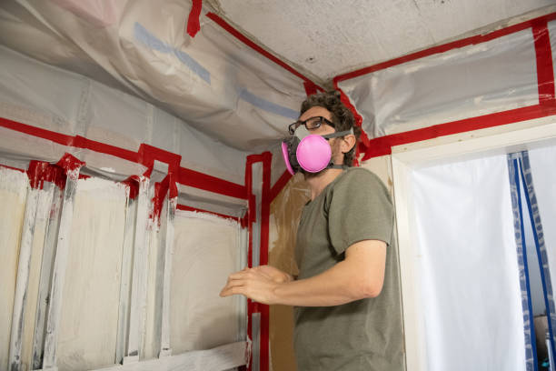 Best Residential Mold Inspection & Testing  in Chisago City, MN