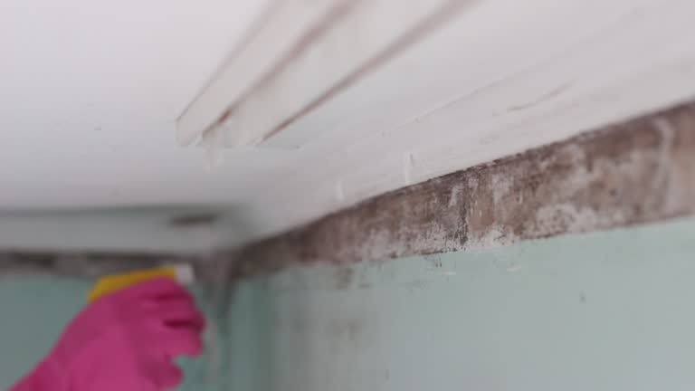 Best Indoor Air Quality Assessment  in Chisago City, MN